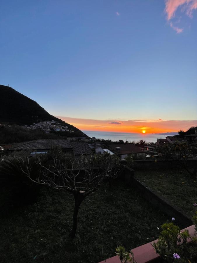Primavera Apartment Maratea